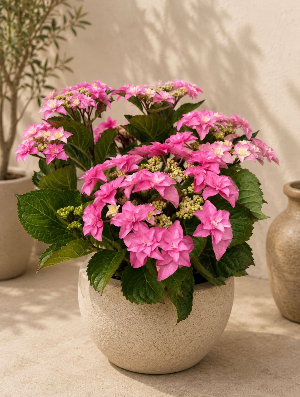 Zart rosa Blumenarrangement in einer Vase